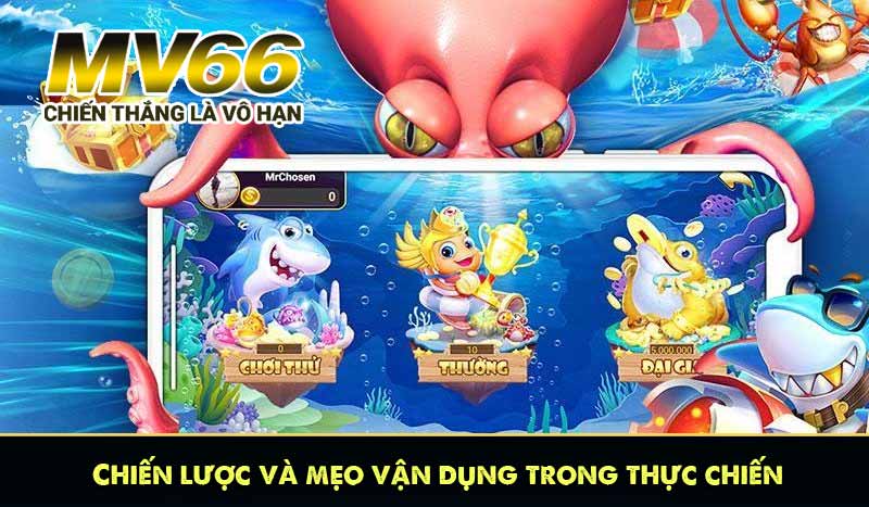 Chiến lược và mẹo vận dụng trong thực chiến