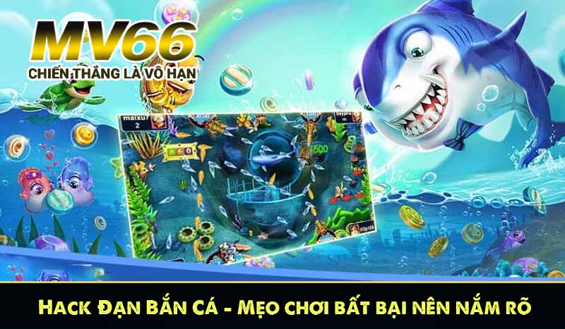 hack đạn bắn cá meo chơi bất bạn nên nắm rõ