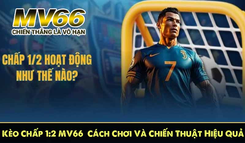 Kèo Chấp 1:2 – Hướng Dẫn Chơi Và Chiến Thuật Hiệu Quả