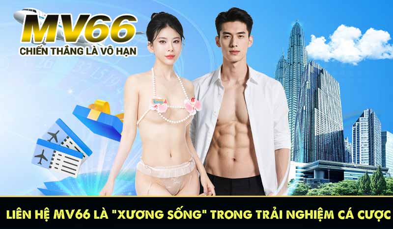 liên hệ MV66 là “xương sống” trong trải nghiệm cá cược