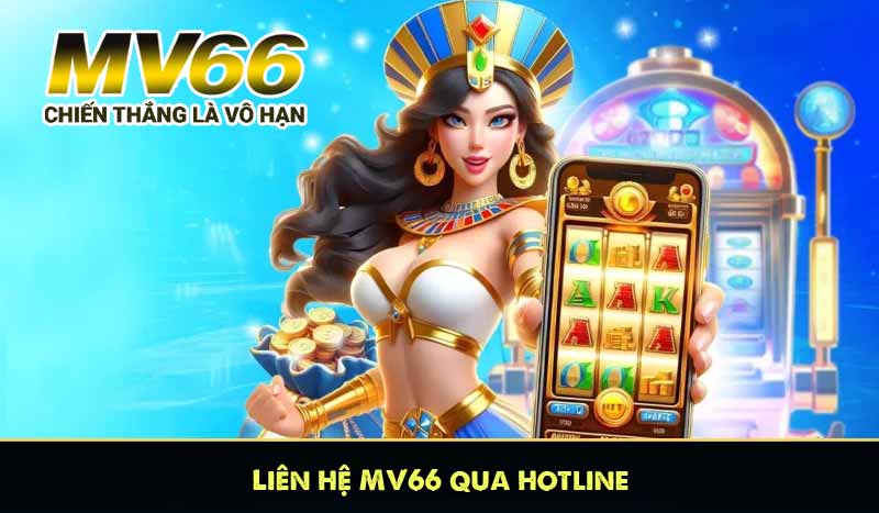 Liên hệ MV66 qua hotline