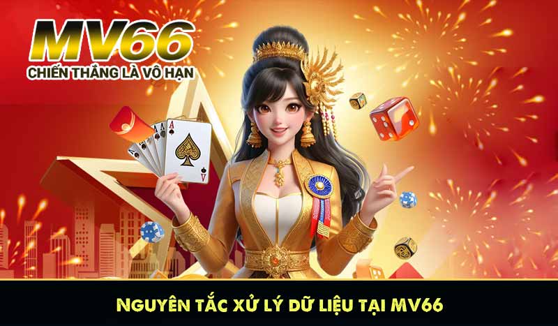 Nguyên tắc xử lý dữ liệu tại MV66