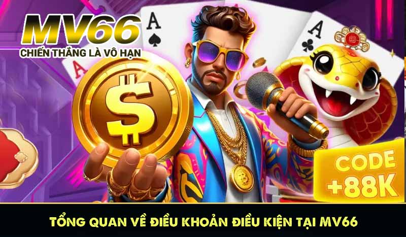 Tổng quan về điều khoản điều kiện tại MV66