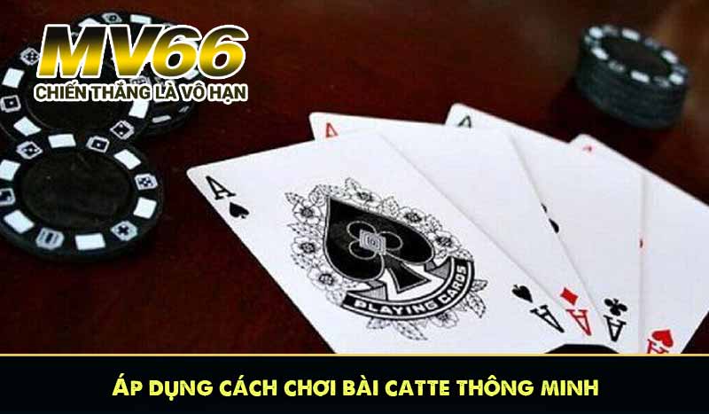 áp dụng cách chơi bài catte thông minh