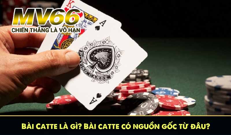 Bài Catte là gì? Bài catte có nguồn gốc từ đâu?
