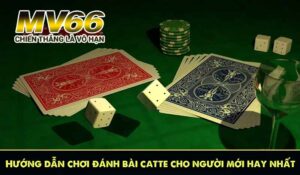 Hướng dẫn chơi đánh bài catte cho người mới hay nhất