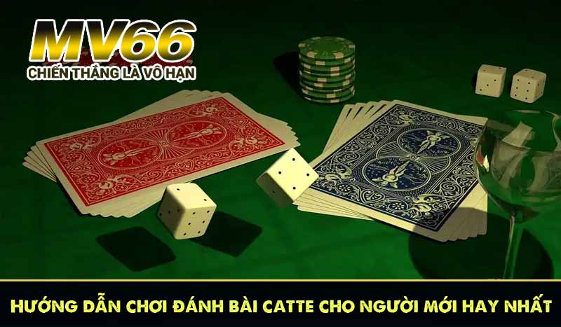 Hướng dẫn chơi đánh bài catte cho người mới hay nhất